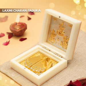 shreenathji charan paduka